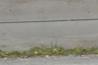 Rollenrodeln auf Rennrodel. Mischform des Rodelsports. Mit internationalen Großanlässen EM und WM (durch die ISSU veranstaltet).
